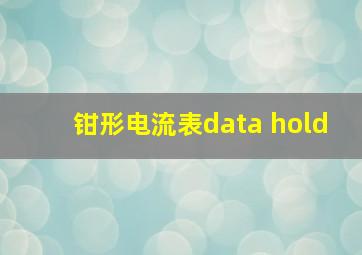 钳形电流表data hold